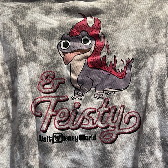 Disney Parks Frozen 2 Brunie Sweet and Feisty Tie Dye Sweatshirt L Lizard - Picture 7 of 7